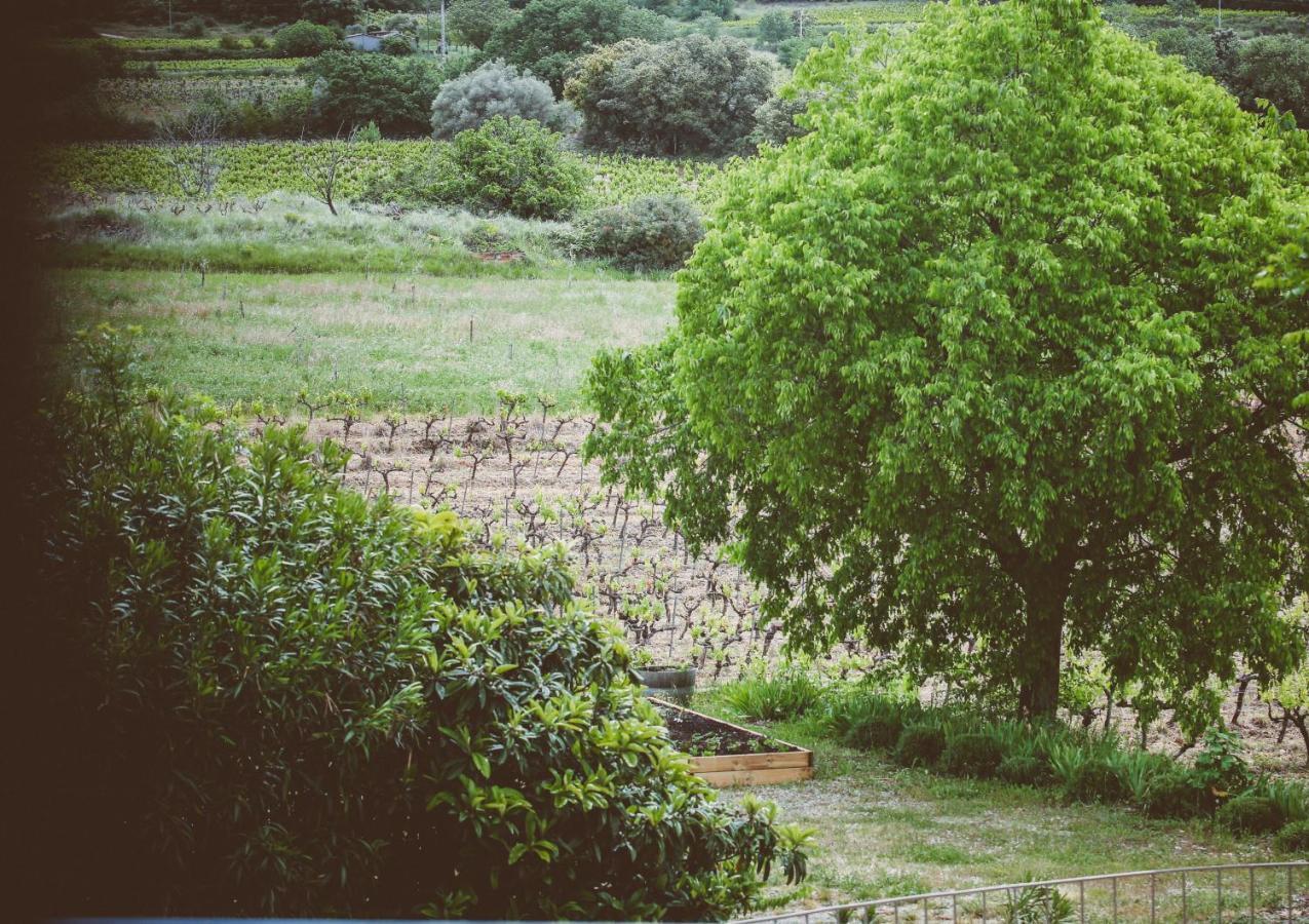 Domaine De Salente Bed & Breakfast Gignac  Exterior photo